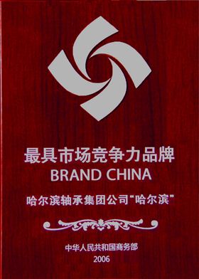 哈爾濱軸承集團(tuán)公司-最具競爭力品牌